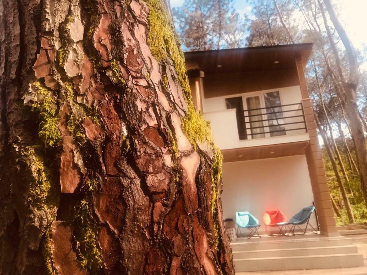 Vip Sweet Home In Shekvetili Zewnętrze zdjęcie